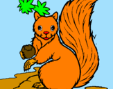 Dibuix Esquirol pintat per Núria!!