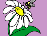 Dibuix Margarida amb abella pintat per redondo
