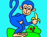 Dibuix Mono pintat per alaia