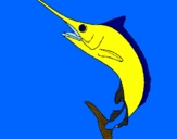 Dibuix Peix espasa pintat per  marina 
