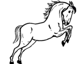 Dibuix Cavall saltant  pintat per mpinyol