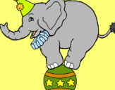 Dibuix Elefant sobre una pilota pintat per JOSEP MARIA