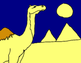 Dibuix Camell pintat per alice