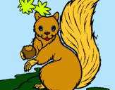 Dibuix Esquirol pintat per CHIPI