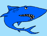 Dibuix Tiburón pintat per wail