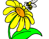 Dibuix Margarida amb abella pintat per JUDITH