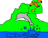 Dibuix Dofí i gavina pintat per lara