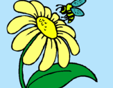 Dibuix Margarida amb abella pintat per daiana