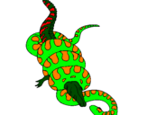Dibuix Anaconda i caiman pintat per mireia b