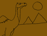 Dibuix Camell pintat per clara