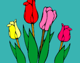 Dibuix Tulipes pintat per CARLOTA