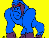 Dibuix Goril·la pintat per miguel
