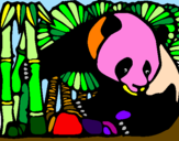 Dibuix Ós Panda i Bambú pintat per NOELIA
