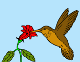 Dibuix Colibrí i una flor  pintat per AINA