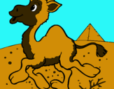 Dibuix Camell pintat per nico