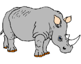 Dibuix Rinoceront pintat per litus