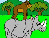 Dibuix Rinoceront i mono pintat per Estel
