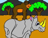 Dibuix Rinoceront i mono pintat per judit