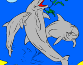 Dibuix Dofins jugant pintat per maria