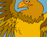 Dibuix Àguila Imperial Romana pintat per jairo