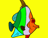 Dibuix Peix tropical pintat per AARON