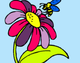 Dibuix Margarida amb abella pintat per Berta López