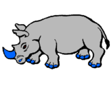 Dibuix Rinoceront pintat per sergi