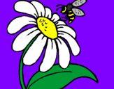 Dibuix Margarida amb abella pintat per Sandrine28