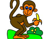 Dibuix Mono pintat per litus