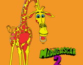 Dibuix Madagascar 2 Melman pintat per susanna