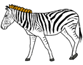 Dibuix Zebra pintat per selva