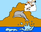 Dibuix Dofí i gavina pintat per paula