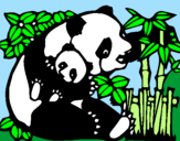 Dibuix Mare Panda pintat per ANNA