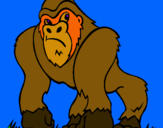 Dibuix Goril·la pintat per GORIL·LA
