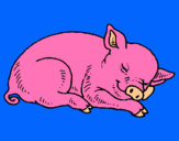 Dibuix Porc dormint pintat per andrea 