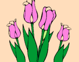 Dibuix Tulipes pintat per ANNA