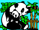 Dibuix Mare Panda pintat per sara