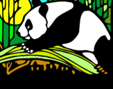 Dibuix Ós panda menjant pintat per ingrid