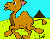 Dibuix Camell pintat per daniela g