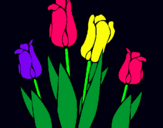 Dibuix Tulipes pintat per nelly