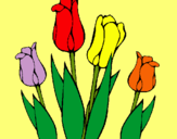 Dibuix Tulipes pintat per elena