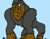 Dibuix Goril·la pintat per alex