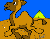 Dibuix Camell pintat per desiree