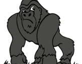 Dibuix Goril·la pintat per MIQUEL