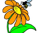 Dibuix Margarida amb abella pintat per io