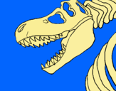 Dibuix Esquelet tiranosauri rex pintat per zalia