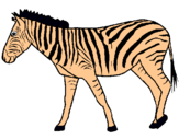 Dibuix Zebra pintat per rocio