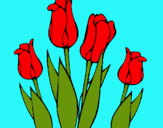 Dibuix Tulipes pintat per AINA