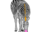 Dibuix Zebra pintat per Anna
