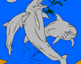 Dibuix Dofins jugant pintat per carli
